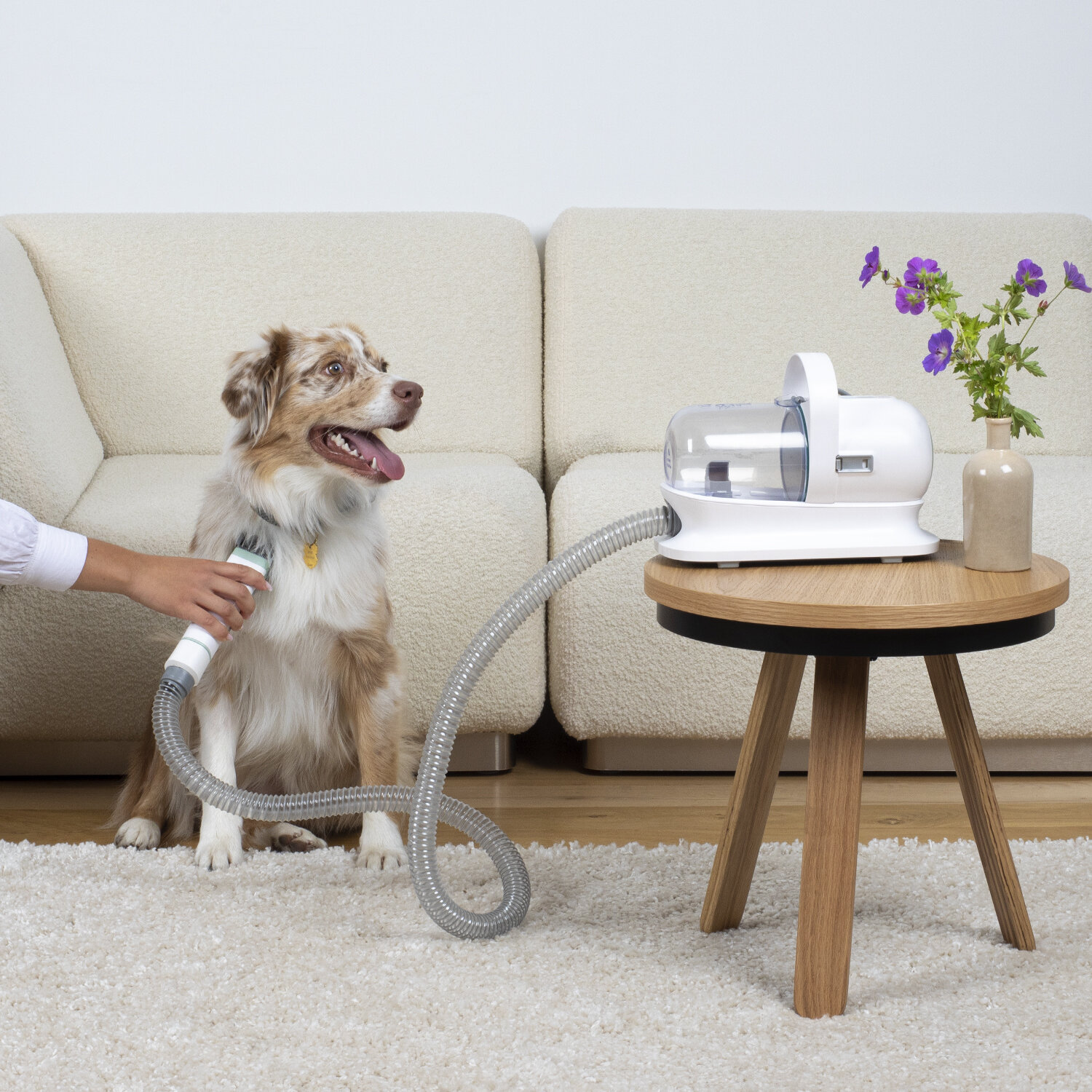 Our products > home > clippers vacuum for pet grooming : Koenig - EN