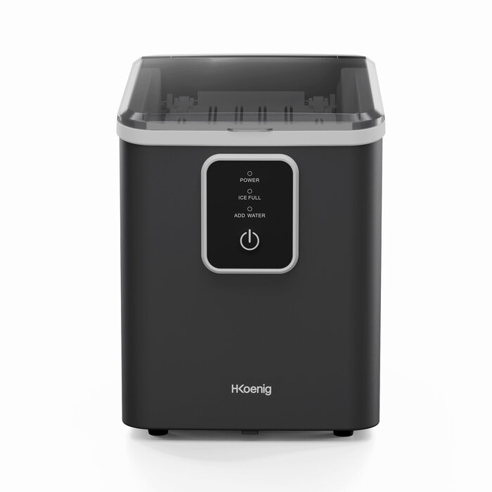 Ice maker